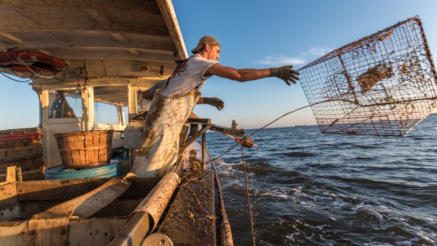 Young waterman throws crab trap off of boat and back into the water. (Photo by: Edwin Remsberg/VW P...