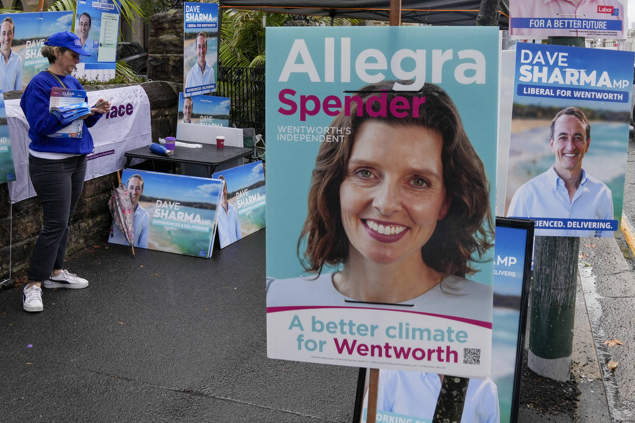 A volunteer stands amongst billboards for independent candidate Allegra Spender and incumbent Liber...