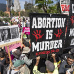 
              Anti-abortion demonstrators counterprotest during a rally of abortion-rights supporters at Los Angeles City Hall, Saturday, May 14, 2022. (AP Photo/Damian Dovarganes)
            