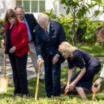 
              President Joe Biden and first lady Jill Biden, joined by surviving families of service members, participates in a magnolia tree planting ceremony on the South Lawn of the White House in Washington, Monday, May 30, 2022. The new tree was grown from a seed from the original magnolia planted on the South Lawn by President Andrew Jackson. (AP Photo/Andrew Harnik)
            