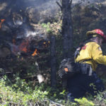 
              A Cal Fire firefighter approaches a burning spot before extinguishing off of Highway 49 in Camptonville, Calif. Friday, May 20, 202. (Elias Funez/The Union via AP)
            