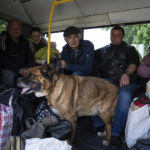 
              People with a dog ride in the bus during evacuation near Lyman, Ukraine, Wednesday, May 11, 2022. (AP Photo/Evgeniy Maloletka)
            