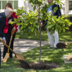 
              President Joe Biden, left, and first lady Jill Biden, right, joined by surviving families of service members, participates in a magnolia tree planting ceremony on the South Lawn of the White House in Washington, Monday, May 30, 2022 The new tree was grown from a seed from the original magnolia planted on the South Lawn by President Andrew Jackson. (AP Photo/Andrew Harnik)
            