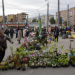 
              People shop plants in a street market in Kharkiv, Ukraine, Sunday, May 22, 2022. (AP Photo/Bernat Armangue)
            