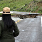 
              A Yellowstone National Park ranger is seen standing near a road wiped out by flooding along the Gardner River the week before, near Gardiner, Mont., June 19, 2022. Park officials said they hope to open most of the park within two weeks after it was shuttered in the wake of the floods. (AP Photo/Matthew Brown)
            