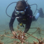 
              Coral reef restoration ranger Dosa Mshenga Mchambi works at an artificial reef structure in the Indian ocean at Shimoni, Kenya on Monday, June 13, 2022. The marine area off the coast of Kenya at Wasini Island, jointly managed by a foundation and the island's community, has been planting over 8,000 corals a year since early 2010s and placed about 800 artificial reef structures in the channel in a bid to restore Wasini's coral gardens.  (AP Photo/Brian Inganga)
            