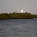 
              The moon shines over mangrove trees at Vanga, Kenya on Tuesday, June 14, 2022. Several mangrove forests across Africa have been destroyed due to coastal development, logging or fish farming, making coastal communities more vulnerable to flooding and rising sea levels. (AP Photo/Brian Inganga)
            