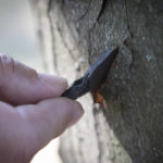 
              A police officer inspects a fragment of a Russian rocket stuck in a tree trunk about 300 meter from the epicentre of the Russian deadly rocket attack at a shopping centre in Kremenchuk in Poltava region, Ukraine, Tuesday, June 28, 2022. (AP Photo/Efrem Lukatsky)
            