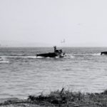 Original caption: "LVT'S OF SECOND MARINE WAVE CHURNS ITS WAY TOWARD BEACH" during "Operation Seafair" training exercise on August 3, 1952 at Sand Point Naval Air Station on Lake Washington. (US Navy Naval History and Heritage Command)