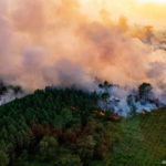 
              This photo provided by the fire brigade of the Gironde region (SDIS 33) shows a wildfire near Landiras, southwestern France, Saturday July 16, 2022. Firefighters are struggling to contain wildfires in France and Spain as Europe wilts under an unusually extreme heat wave that authorities link to a rise in excess mortality. (SDIS 33 via AP)
            