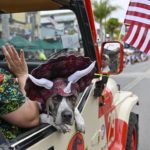 A dog dressed as a dinosaur sits in a Jurassic Park Jeep on Main Street during the 118th Huntington Beach 4th of July Parade in Huntington Beach, Calif., on Monday, July 4, 2022. (Jeff Gritchen/The Orange County Register via AP)