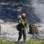 
              Firefighters move into an are where a back fire took place near the Yosemite National Park south entrance, as the Washburn Fire continues to burn, Tuesday, July 12, 2022, in Calif. (AP Photo/Godofredo A. Vásquez)
            