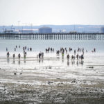 
              People walk across the mud to the water during low tide at Southend-on-Sea on the Thames Estuary in Essex, England, Sunday, July 17, 2022. The Met office has issued its first-ever “red warning” of extreme heat for Monday and Tuesday, when temperatures in southern England may reach 40 C (104 F) for the first time. (Yui Mok/PAvia AP)
            