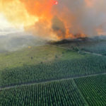 
              This photo provided by the fire brigade of the Gironde region (SDIS 33) shows a wildfire near Landiras, southwestern France, Sunday July 17, 2022. Firefighters battled wildfires raging out of control in France and Spain on Sunday as Europe wilted under an unusually extreme heat wave that authorities in Madrid blamed for hundreds of deaths. (SDIS 33 via AP)
            