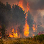 
              This photo provided Thursday July 14, 2022 by the fire brigade of the Gironde region (SDIS33) shows a wildfire near Landiras, southwestern France, Wednesday, July 13, 2022. A spate of wildfires is scorching parts of Europe, with firefighters battling blazes in Portugal, Spain and southern France. In France, two fires raged out of control in the region around Bordeaux in southwest France for a third consecutive day, despite efforts of 1,000 firefighters and water-dumping planes to contain them. (SDIS 33 via AP)
            