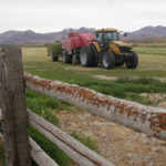 
              A tractor carries hay through a field Wednesday, June 22, 2022, near Delta, Utah. In this tiny Utah town surrounded by cattle, alfalfa fields and scrub-lined desert highways, hundreds of workers over the next few years will be laid off as the coal power plant closes— casualties of environmental regulations and competition from cheaper energy sources. (AP Photo/Rick Bowmer)
            