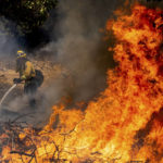 
              A firefighter sprays water while battling the Oak Fire in Mariposa County, Calif., on Saturday, July 23, 2022. (AP Photo/Noah Berger)
            
