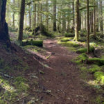 Baker Lake Trail runs along the east side of the lake, which was created in 1959 by the Upper Baker Dam. (Feliks Banel/KIRO Newsradio)