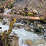 Roughhewn bridges, and sometimes tree trunks, carry Baker Lake Trail users across streams which enter the lake from the hills above. (Feliks Banel/KIRO Newsradio)