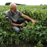 
              Jeff O'Connor checks soybeans at his farm, Thursday, Aug. 4, 2022, in Kankakee, Ill. A US Department of Agriculture move to change crop insurance rules to encourage farmers to grow two crops in a single year instead of one. Usually this means planting winter wheat in the fall, harvesting in May or June and then planting soybeans. The USDA is making it easier to obtain insurance, lessening the risk to farmers who make this choice.(AP Photo/Nam Y. Huh)
            