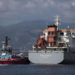 
              The cargo ship Polarnet arrives to Derince port in the Gulf of Izmit, Turkey, Monday Aug. 8, 2022. The first of the ships to leave Ukraine under a deal to unblock grain supplies amid the threat of a global food crisis arrived at its destination in Turkey on Monday. (AP Photo/Khalil Hamra)
            