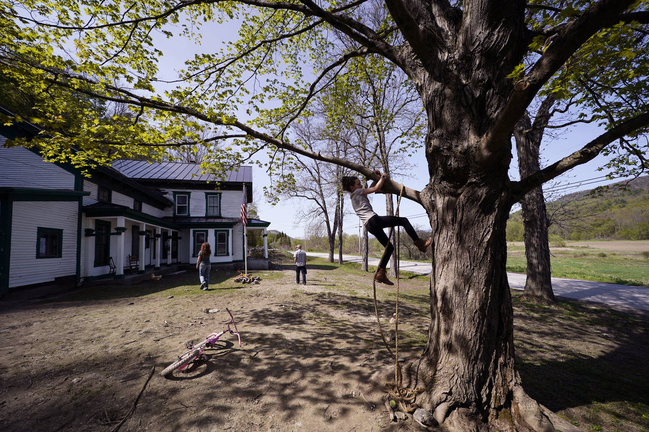 Soraya Holden climbs a tree with her parents in the background, Thursday, May 12, 2022, in Proctor,...