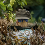 
              A dummy looks out from a position with the Ukrainian Dnipro-1 regiment during a period of relative calm around near Sloviansk, Donetsk region, eastern Ukraine, Friday, Aug. 5, 2022. While the lull in rocket strikes has offered a reprieve to remaining residents, some members of the Ukrainian military unit say it could be a prelude to renewed attacks. (AP Photo/David Goldman)
            