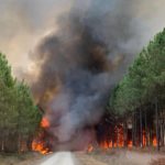 
              This photo provided by the fire brigade of the Gironde region SDIS 33, (Departmental fire and rescue service 33) shows flames consume trees at a forest fire in Saint Magne, south of Bordeaux, south western France, Wednesday, Aug. 10, 2022. ( SDIS 33 Service Audiovisuel via AP)
            