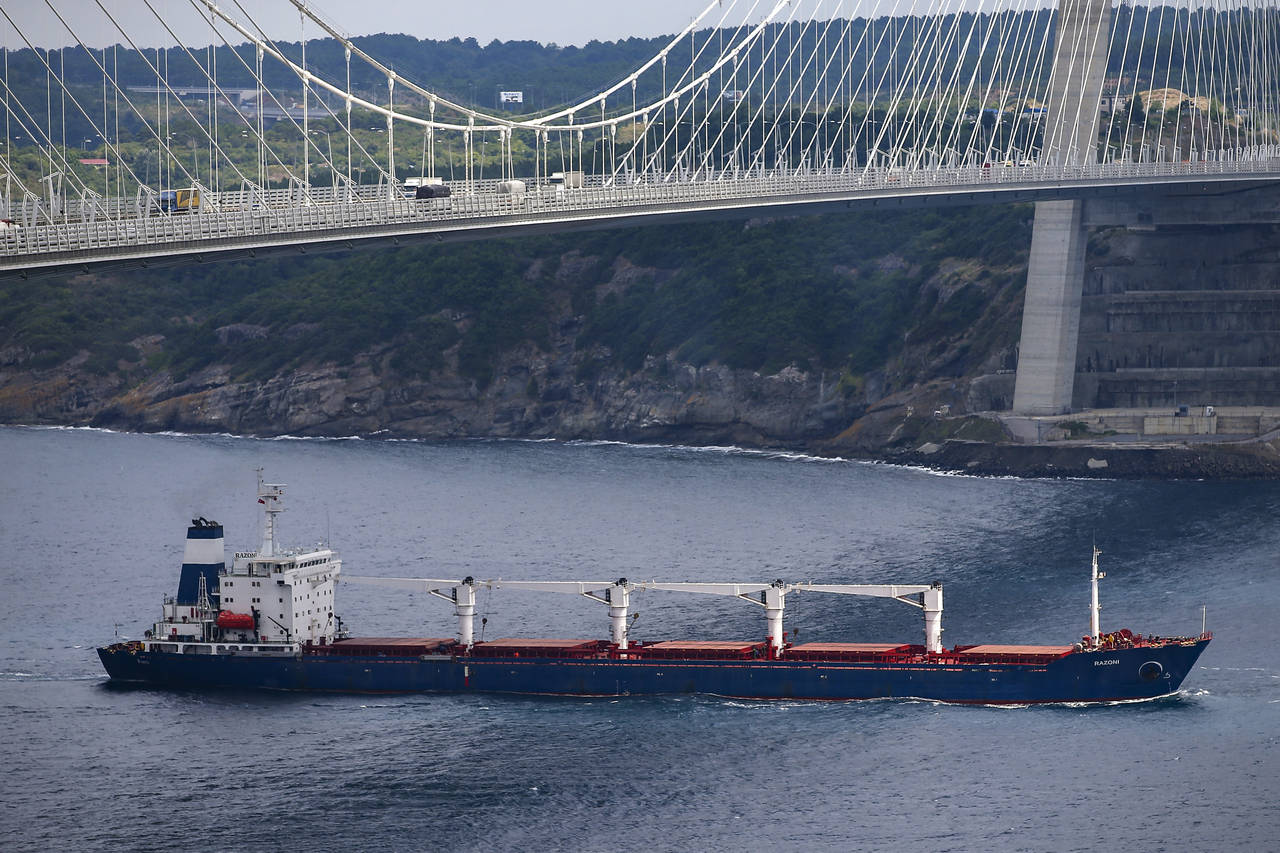 The Sierra Leone-flagged cargo ship Razoni sails under Yavuz Sultan Selim Bridge after being inspec...