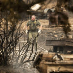 
              A sheriff's deputy searches a scorched property following the McKinney Fire on Tuesday, Aug. 2, 2022, in Klamath National Forest, Calif. His team did not find any fire victims at the location. (AP Photo/Noah Berger)
            