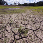 
              Weeds grow through the cracked soil on what would usually be on the bottom of the Hoppin Hill Reservoir, Wednesday, Aug. 3, 2022, in North Attleboro, Mass. The City of Attleboro, like much of the Northeast, is experiencing drought like conditions. (AP Photo/Charles Krupa)
            
