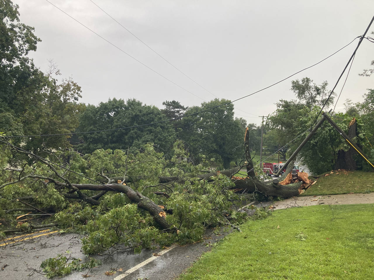 A tree and wires block Four Mile Road NE near Provin Trails Park in the Grand Rapids, Mich., area M...