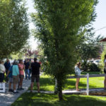 
              People wait in line to vote during the Republican primary election in Wilson, Wyo., Tuesday, Aug. 16, 2022. (AP Photo/Jae C. Hong)
            