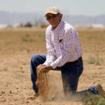 
              Kelly Anderson shows how dry one of his fields is, Thursday, Aug. 18, 2022, in Maricopa, Ariz. Anderson grows specialty crops for the flower industry and leases land to alfalfa farmers whose crops feed cattle at nearby dairy farms. He knows what's at stake as states dither over cuts and expects about half of the area will go unplanted next year, after farmers in the region lose all access to the river. (AP Photo/Matt York)
            