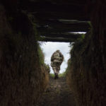 
              Sgt. Maj. Artur Shevtsov with the Dnipro-1 regiment exits a bunker at the unit's position near Sloviansk, Donetsk region, eastern Ukraine, Friday, Aug. 5, 2022. From a position on the outskirts of the city, soldiers with the Dnipro-1 regiment are expanding a network of trenches and digging bunkers capable of protecting soldiers against mortar strikes and phosphorous bombs. (AP Photo/David Goldman)
            