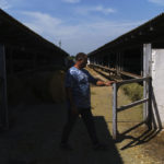 
              Ihor Kriuchenko, senior livestock technician, opens a gate to a mostly empty stall at KramAgroSvit dairy farm in Dmytrivka, Donetsk region, eastern Ukraine, Wednesday, Aug. 10, 2022. One of the last working dairy farms in Ukraine's eastern Donbas region is doing everything it can to stay afloat amid Russia's devastating war where not even the cows are safe. "If there will be further war escalation in our region, we'll be obliged to evacuate, sell our cows and close the farm," said Kriuchenko. (AP Photo/David Goldman)
            