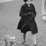 
              FILE - Princess Elizabeth takes her pet dog for a walk in Hyde Park, London, on Feb. 26. 1936. It's widely known that Elizabeth loved corgi dogs, Princess Diana reportedly called the animals the queen's "moving carpet" because they accompanied her everywhere.  (AP Photo, File)
            