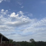 
              A small airplane circles over Tupelo, Miss., on Saturday, Sept. 3, 2022.  Police say the pilot of the small airplane is threatening to crash the aircraft into a Walmart store. The Tupelo Police Department said that the Walmart and a nearby convenience store had been evacuated. (Rachel McWilliams via AP)
            
