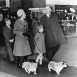 
              FILE - Britain's Queen Elizabeth II is accompanied by two of her sons, 10-year-old Prince Andrew, left, and Prince Edward, 6, and two of the royal corgis as she talks with unidentified official at London's Liverpool street railway station on Dec. 30, 1970. Queen Elizabeth II's corgis were a key part of her public persona and her death has raised concern over who will care for her beloved dogs. The corgis were always by her side and lived a life of privilege fit for a royal. She owned nearly 30 throughout her life. She is reportedly survived by four dogs. (AP Photo/ John Rider)
            