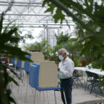 
              Rafael Martinez looks over his ballot while voting in the state's primary election at the Roger Williams Park Botanical Center in Providence, R.I., Tuesday, Sept. 13, 2022. (AP Photo/David Goldman)
            