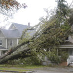 
              Fallen trees lean against a house in Sydney, N.S. as post tropical storm Fiona continues to batter the Maritimes on Saturday, Sept. 24, 2022.  Strong rains and winds lashed the Atlantic Canada region as Fiona closed in early Saturday as a big, powerful post-tropical cyclone, and Canadian forecasters warned it could be one of the most severe storms in the country's history.(Vaughan Merchant /The Canadian Press via AP)
            