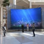 
              Gigantic LED screens depicting underwater springs and skylight views of blue skies are seen in the new terminal at Orlando International Airport, Tuesday, Sept. 6, 2022 in Orlando, Fla. The addition of Terminal C gives the airport the ability to handle an additional 12 million passengers at the terminal's 15 new gates. (AP Photo/Mike Schneider)
            
