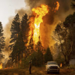 
              A firefighter monitors a backfire, flames lit by fire crews to burn off vegetation, while battling the Mosquito Fire in the Volcanoville community of El Dorado County, Calif., on Friday, Sept. 9, 2022. (AP Photo/Noah Berger)
            