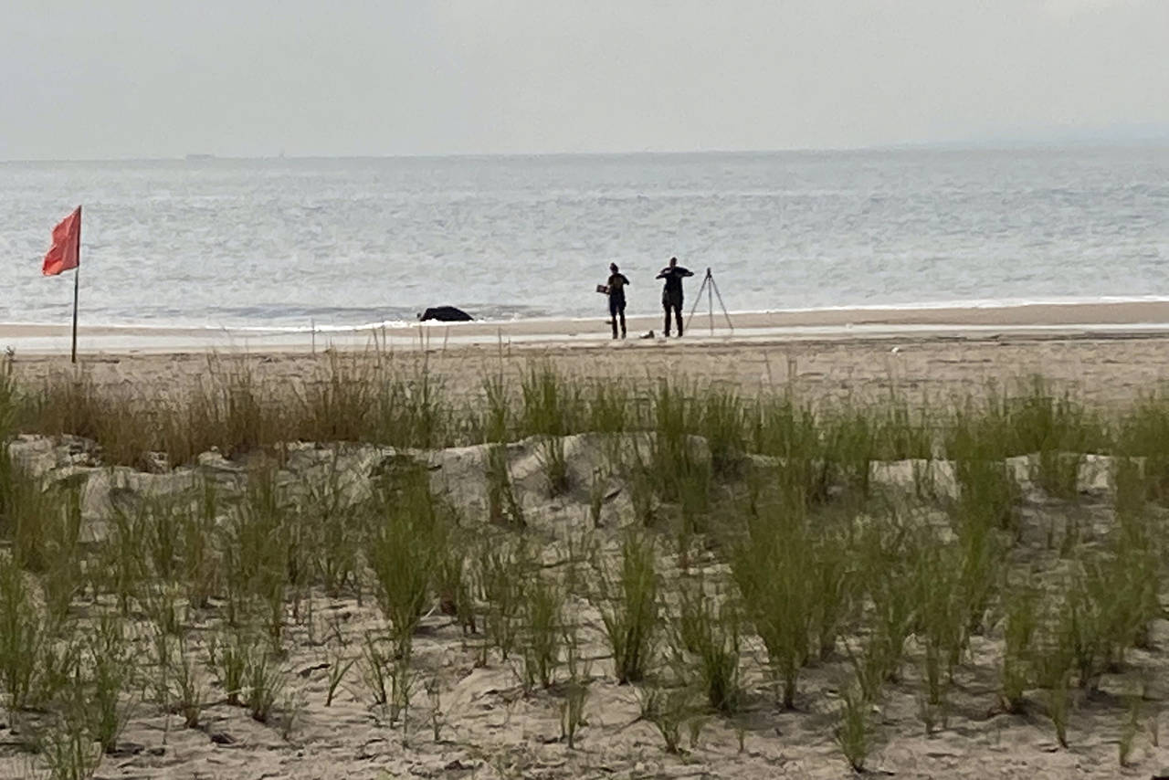 New York Police investigators examine a stretch of beach at Coney Island where three children were ...