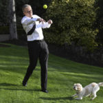 
              Australia's Prime Minister Anthony Albanese plays with his dog Toto at his official residence in Canberra, Tuesday, Sept. 13, 2022. Albanese says he will travel to the Queen's funeral with fellow Pacific Island leaders and 10 everyday Australians. Albanese says his official delegation to Queen Elizabeth II's funeral next week will include racehorse trainer Chris Waller and wheelchair tennis star Alcott. (Mick Tsikas/AAP Image via AP)
            