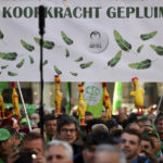 
              Trade union members hold rubber chickens and a banner that reads 'purchasing power plucked' during a demonstration in the center of Brussels, Wednesday, Sept. 21, 2022. Belgian trade unions protested on Wednesday against energy price increases and the loss of purchasing power. (AP Photo/Olivier Matthys)
            