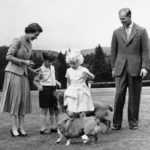 
              FILE - Queen Elizabeth II and the Duke of Edinburgh, with their children Prince Charles and Princess Anne, play with the Queen's corgi pet, "Sugar," foreground, and the Duke's "Candy" during the royal family's summer holiday at Balmoral castle in Scotland, on August 15, 1955. Queen Elizabeth II's corgis were a key part of her public persona and her death has raised concern over who will care for her beloved dogs. The corgis were always by her side and lived a life of privilege fit for a royal. She owned nearly 30 throughout her life. She is reportedly survived by four dogs. (AP Photo)
            