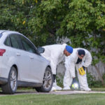 
              Investigators examine the ground at the scene of a stabbing in Weldon, Saskatchewan on Sunday, Sept. 4, 2022. A series of stabbings at an Indigenous community and at another in the village of Weldon left multiple people dead and others wounded, Canadian police said Sunday as they searched for two suspects. (Heywood Yu/The Canadian Press via AP)
            