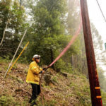 
              Pacific Gas & Electric firefighter Dave Ronco sprays retardant on a utility pole to protect infrastructure as the Mosquito Fire burns near Volcanoville in El Dorado County, Calif., on Friday, Sept. 9, 2022. (AP Photo/Noah Berger)
            