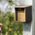 
              Farmer Christian Nachtwey looks at an insect home under solar panels installed over an organic orchard in Gelsdorf, western Germany, Tuesday, Aug. 30, 2022. Solar installations on arable land are becoming increasingly popular in Europe and North America, as farmers seek to make the most of their land and establish a second source of revenue. (AP Photo/Martin Meissner)
            